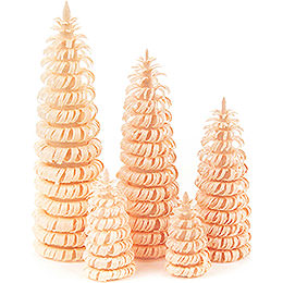 Coiled Trees without Trunk Natural  -  5 pieces  -  10cm / 3.9 inch