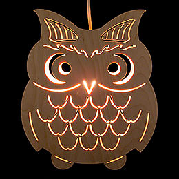 Window Picture  -  Owl  -  28cm / 11 inch